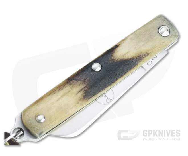 Great Eastern Cutlery #05 PPP Keychain Knife Sheepsfoot Sambar Stag Slip Joint Folder 053121-SS-20 - Image 2