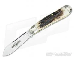 Northfield Cutlery #56 Bird Dog Sambar Stag #1