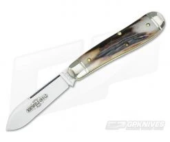 Northfield Cutlery #56 Bird Dog Sambar Stag #2