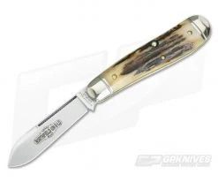 Northfield Cutlery #56 Bird Dog Sambar Stag #9