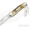 Case Classic 1993 Stag Seahorse Whittler with Bowtie Shield
