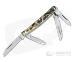 Case (Kinfolks) Miniature Stag Congress